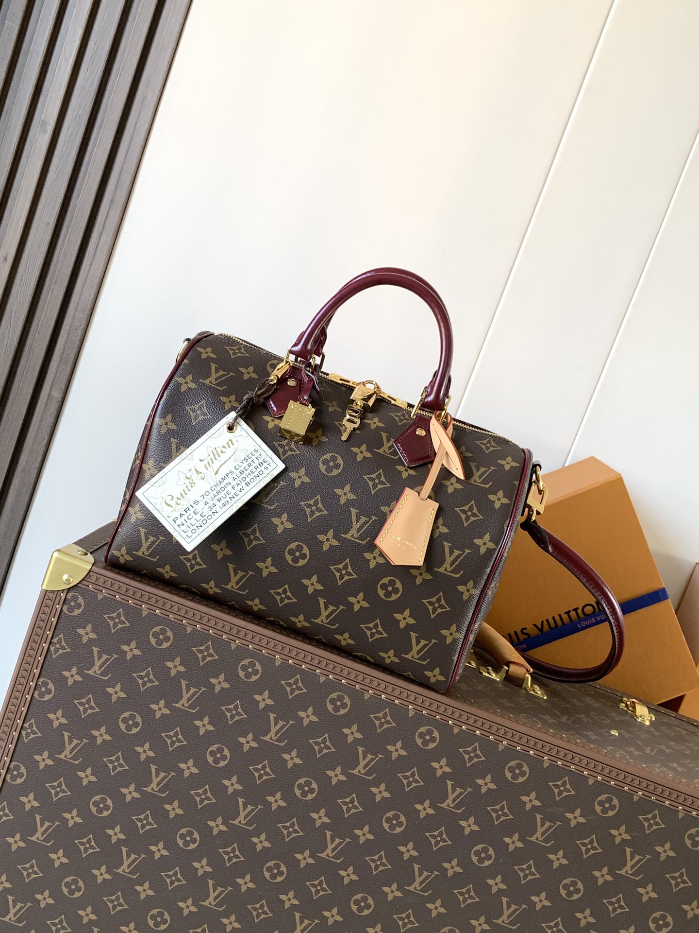 Louis Vuitton LV Classic Handbag Premium Canvas Padlock Detail Everyday Carry High-End Fashion